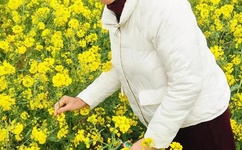 东京热的开场音乐